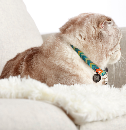 Coleira Gato com ID Tag Max&Molly - Vintage