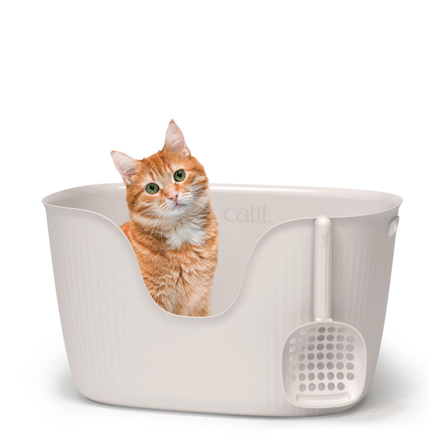 WC Aberto Loo - Catit