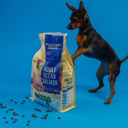 Weego Grain Free Cão - Salmão