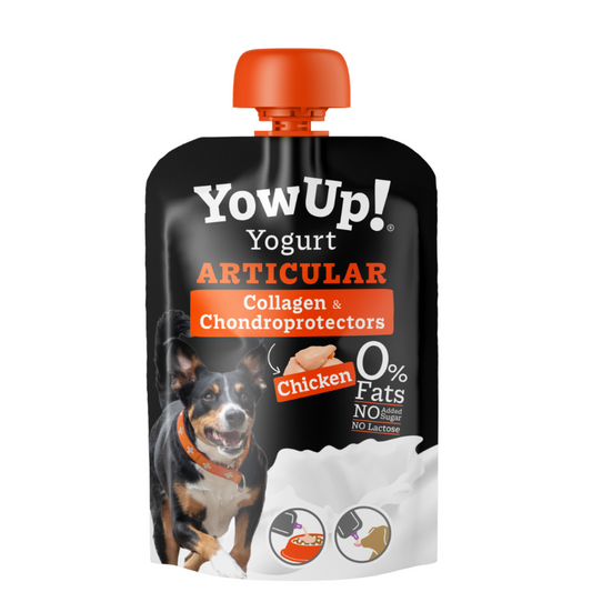 Iogurte para cães YowUp - Articular Frango