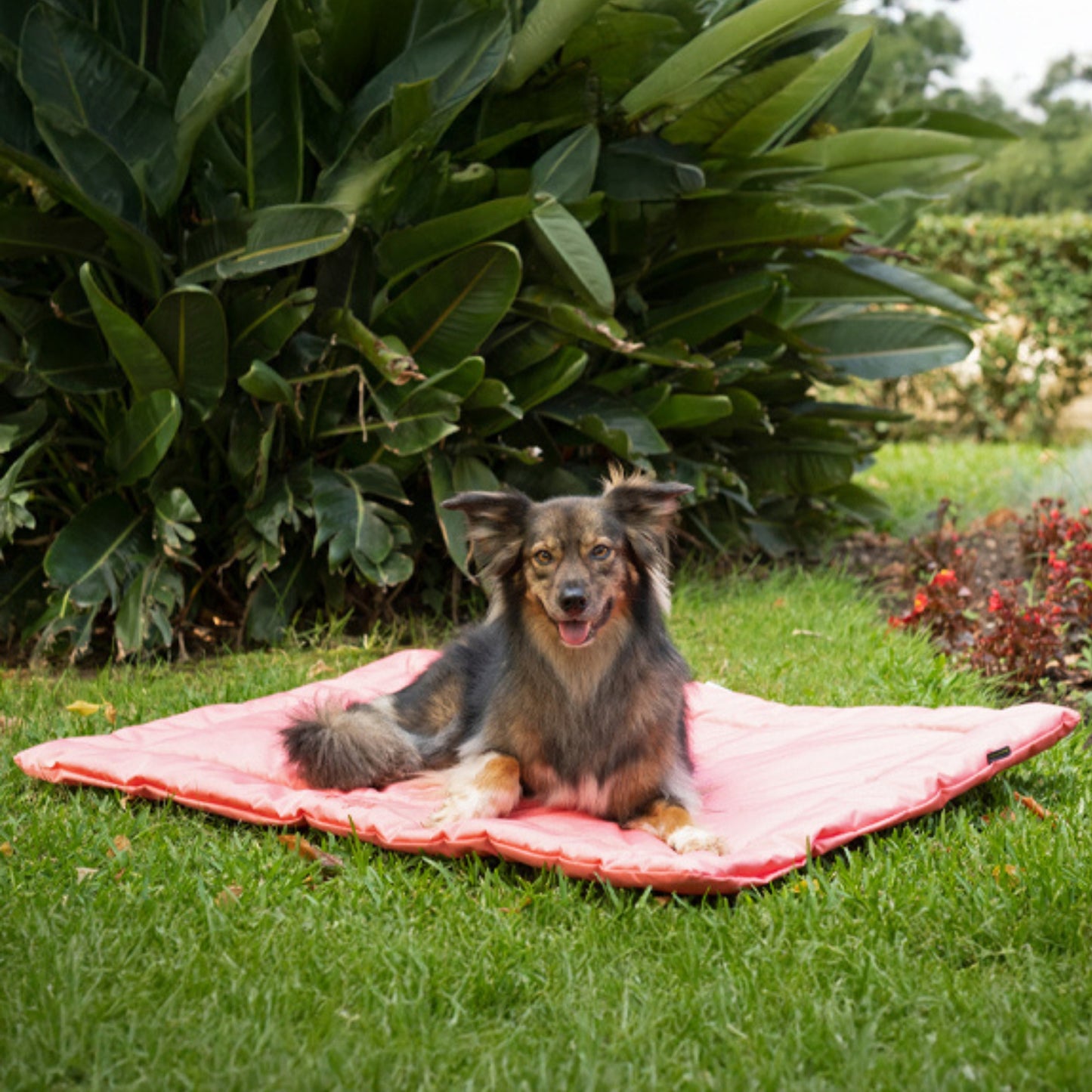 Colchão impermeável "Summer Mat Waterproof" - Agui