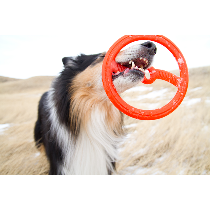 Bionic Frisbee - Borracha Bionic Patenteada