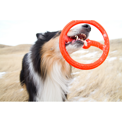 Bionic Frisbee - Borracha Bionic Patenteada