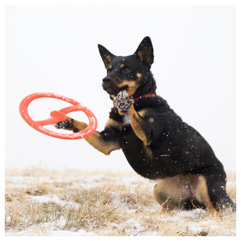 Bionic Frisbee - Borracha Bionic Patenteada