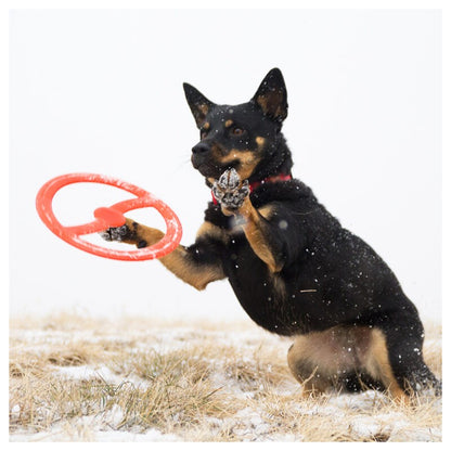 Bionic Frisbee - Borracha Bionic Patenteada