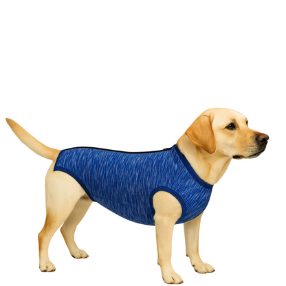 Body Pós-Cirurgia Cão Macho