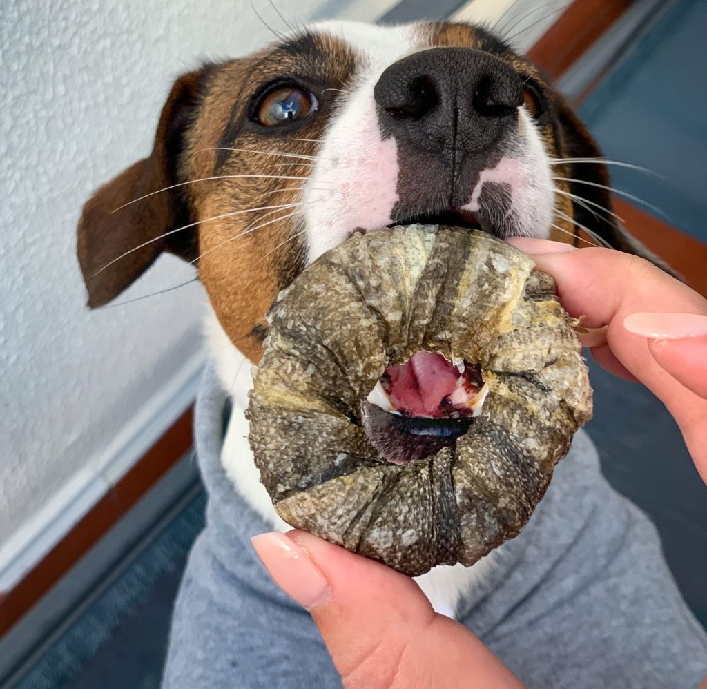 Cooka's Cookies - Life Saver - Delícias de bacalhau 70g