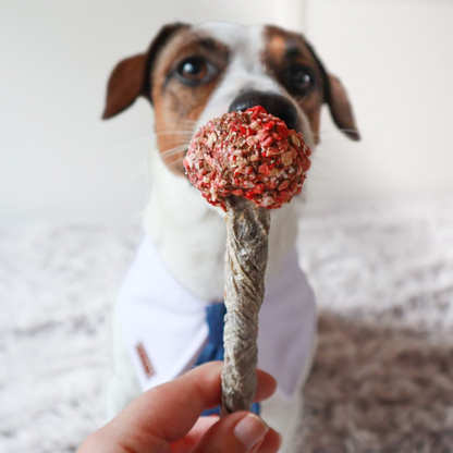 Cooka's Cookies - Lollipop de bacalhau e peru