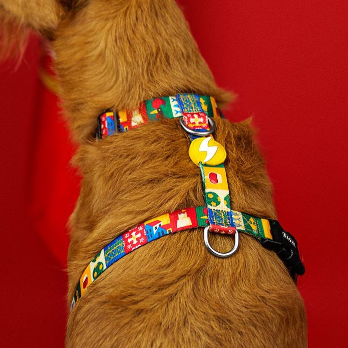 Dashi Arnês Back Harness para cães "Portucale" - Edição Especial