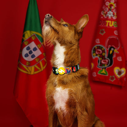 Dashi Coleira para cães "Portucale" - Edição Especial