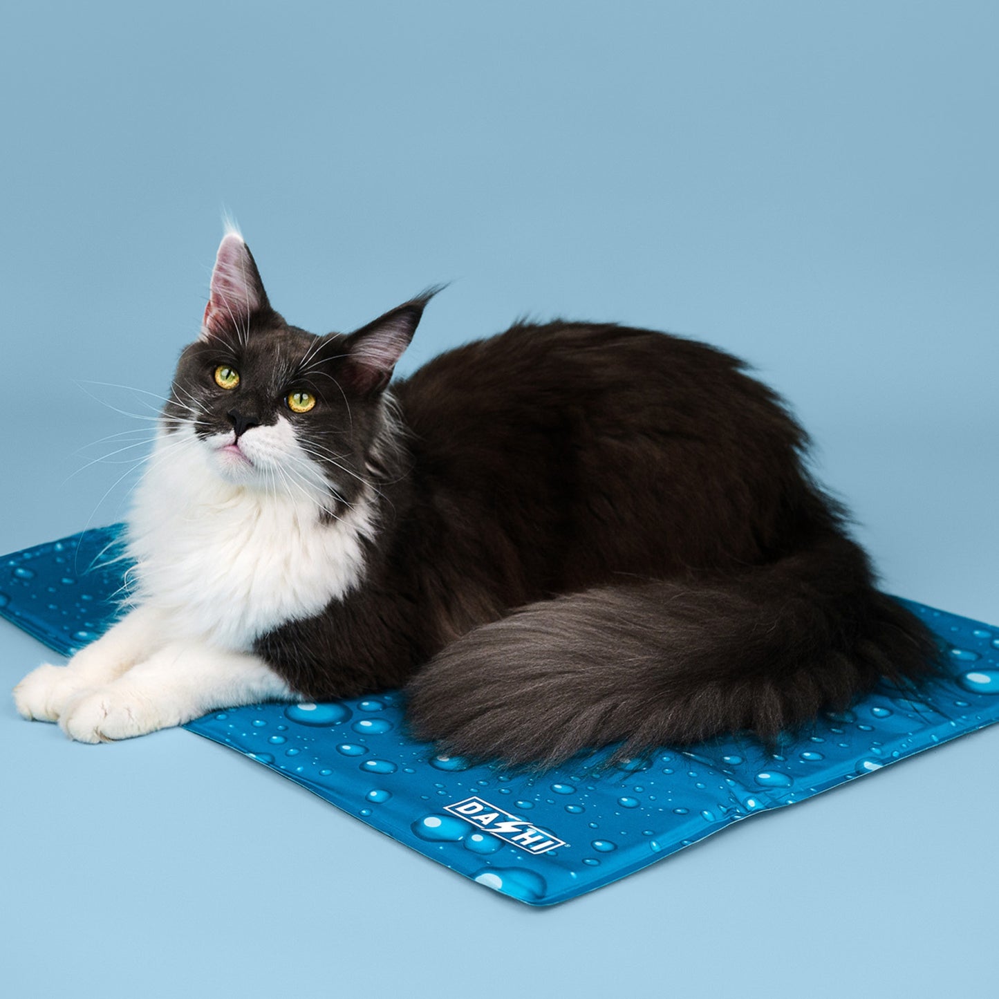 Tapete Refrescante Pet Cooling Mat - Dashi