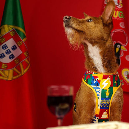 Dashi Arnês Reversível Neo Mesh para cães "Portucale" - Edição Especial