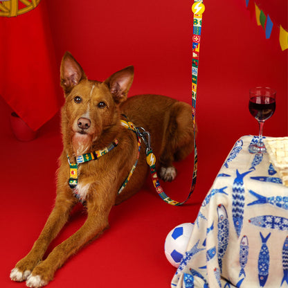 Dashi Trela para cães "Portucale" - Edição Especial
