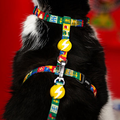 Dashi Arnês + Trela para gatos "Portucale" - Edição Especial