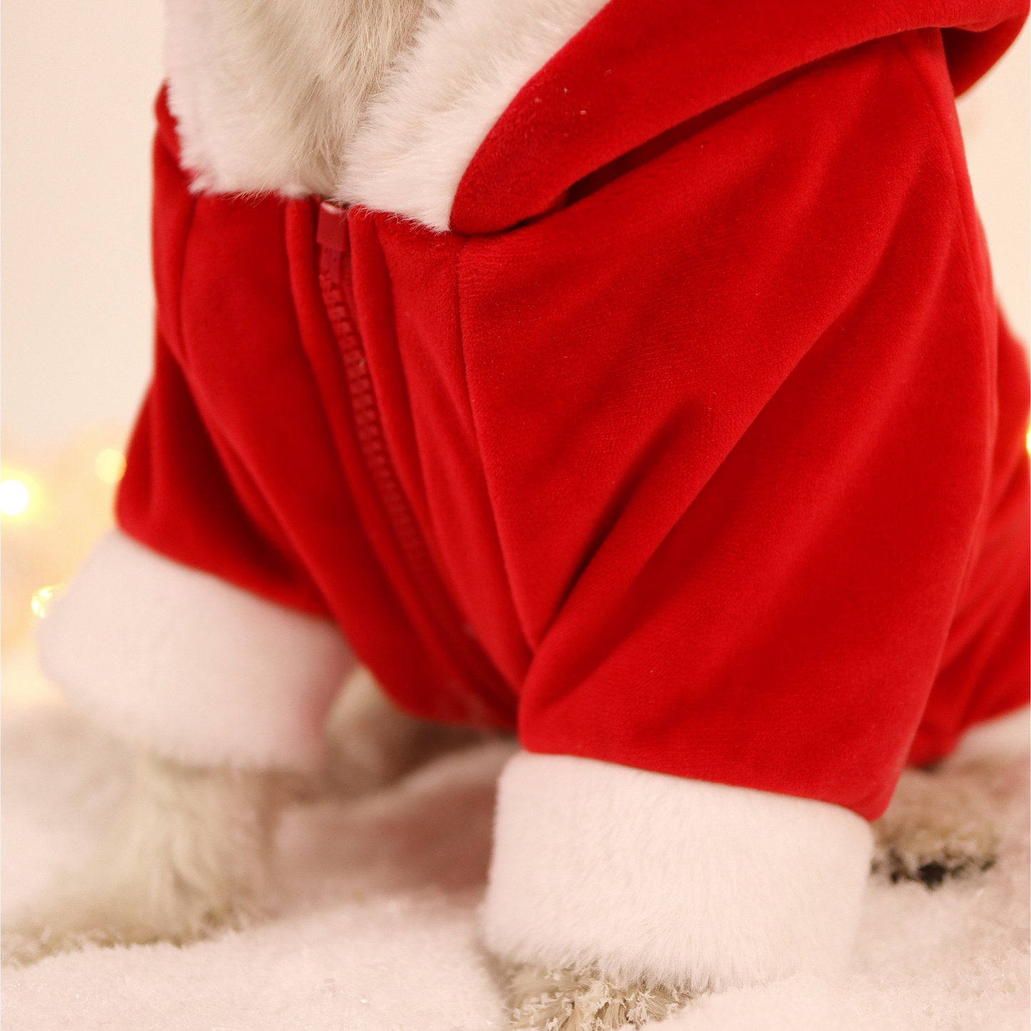 Hoodie Santa - Dashi