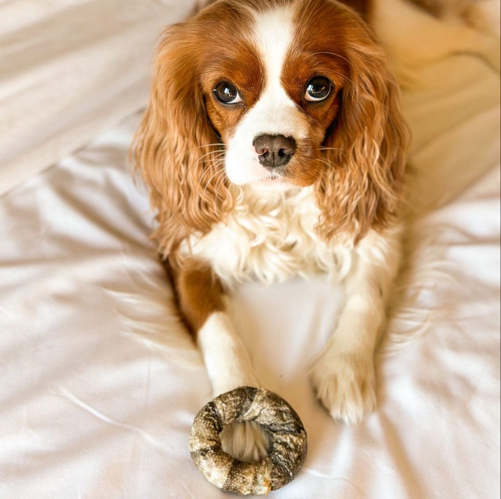 Cooka's Cookies - Life Saver - Delícias de bacalhau 70g