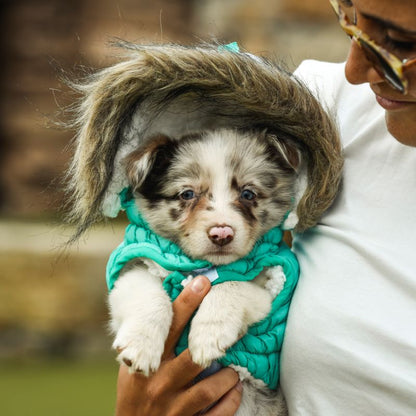 Casaco com capuz "Eco Pooch" - FreeDog