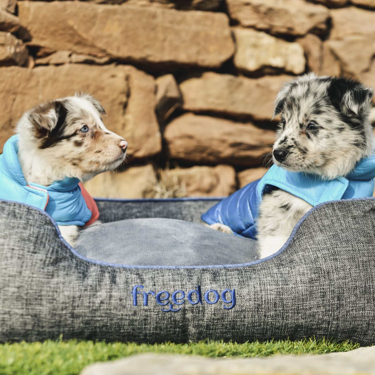 Casaco Impermeável "Pup Hound" - FreeDog