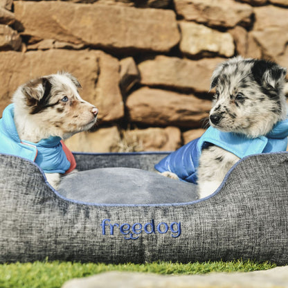 Casaco Impermeável "Pup Hound" - FreeDog