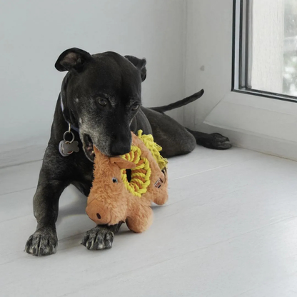 Kong Ringaroos Pig M - porco super resistente com corda e apito