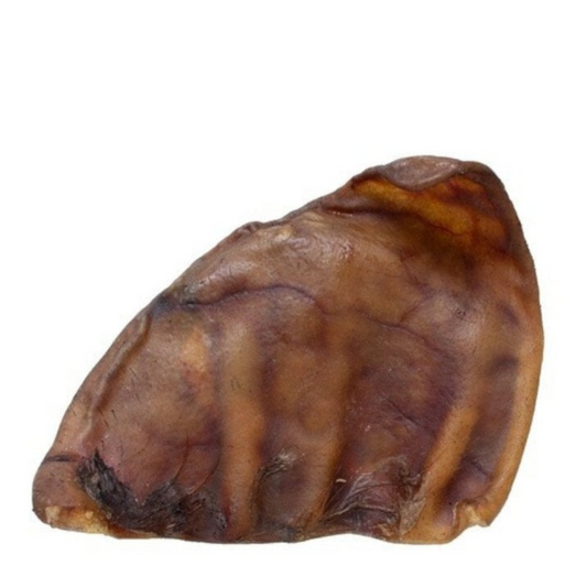 Orelha de Porco 1un
