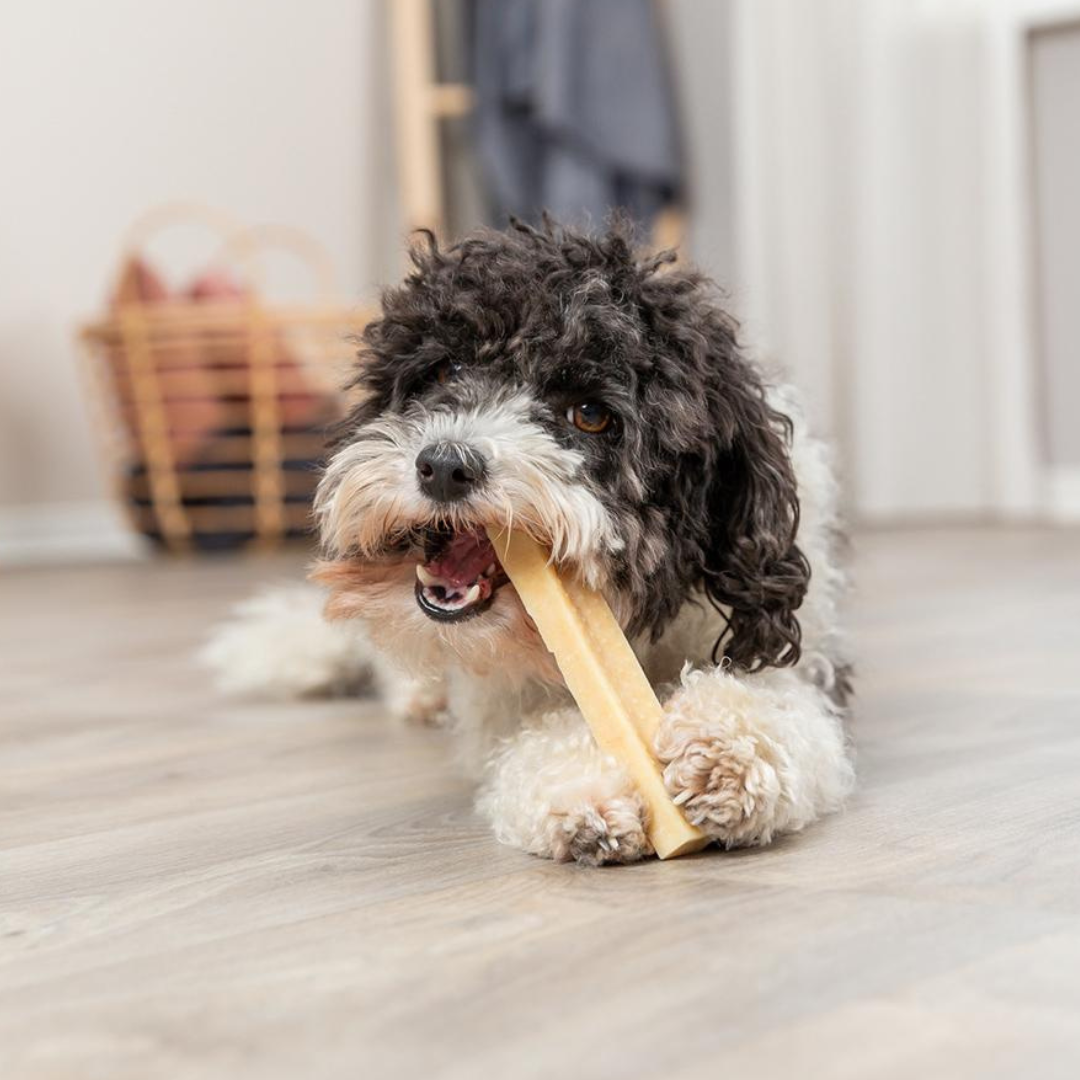 Stick de Queijo Natural mastigável - Trixie