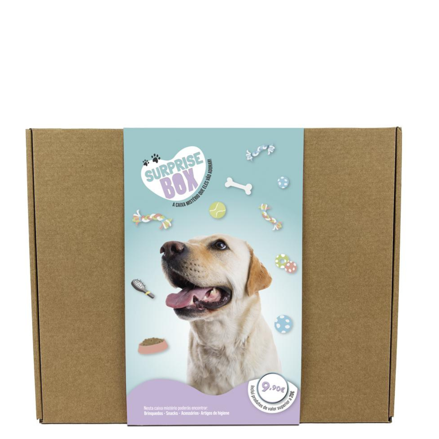 Surprise Box - Caixa Surpresa para Cães de porte grande