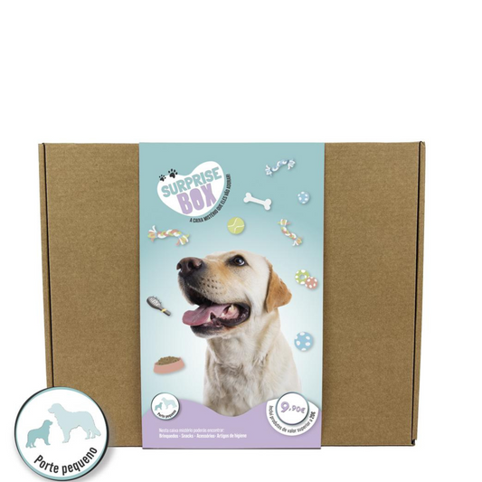 Surprise Box - Caixa Surpresa para Cães de porte pequeno e médio