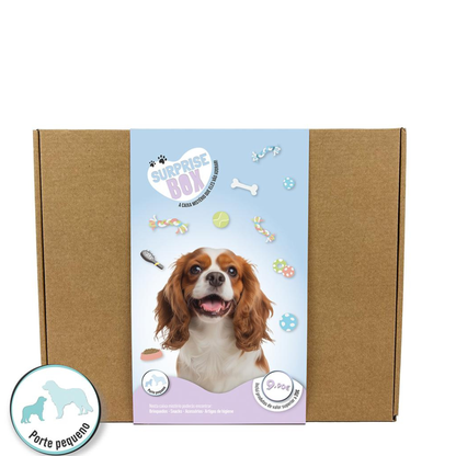 Surprise Box - Caixa Surpresa para Cães de porte pequeno e médio