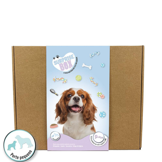 Surprise Box - Caixa Surpresa para Cães de porte pequeno e médio