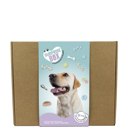 Surprise Box - Caixa Surpresa para Cães de porte grande