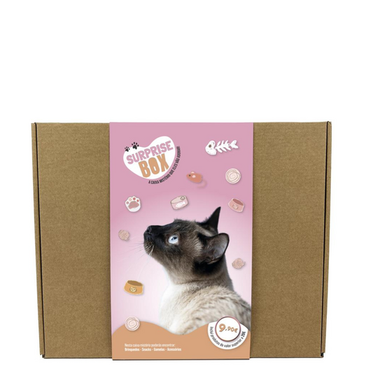 Surprise Box - Caixa Surpresa para Gatos