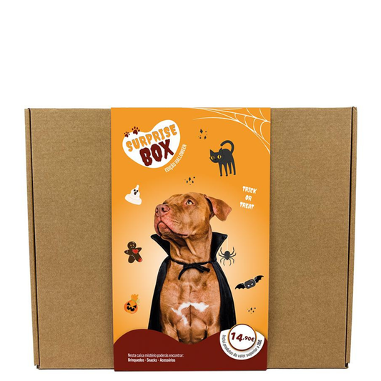 Surprise Box HALLOWEEN - para Cães de porte grande
