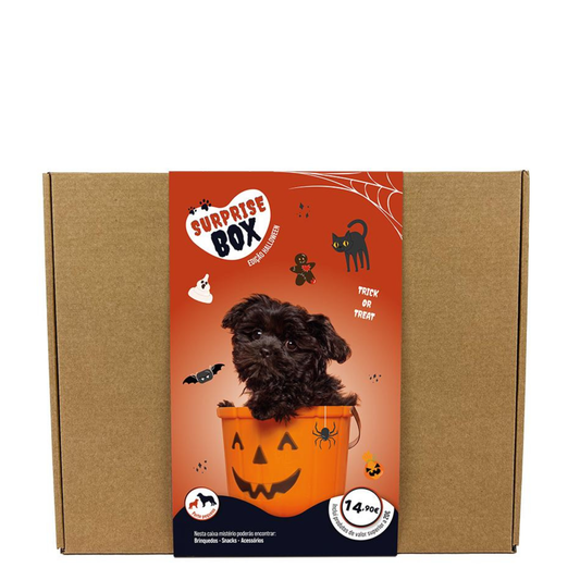 Surprise Box HALLOWEEN - para Cães de porte pequeno e médio