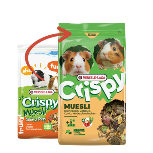 Versele-Laga Crispy Muesli - Porquinhos da Índia