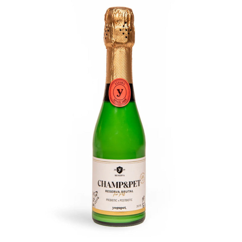 Yogupet Caixa de Natal - Pack Champanhe + Caixa de Snacks