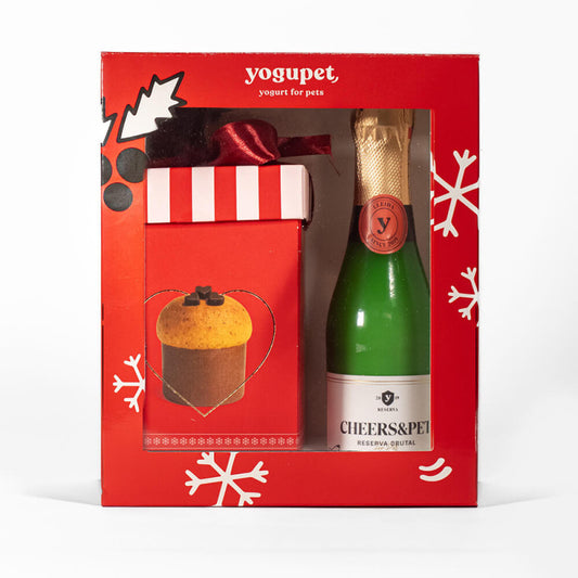 Yogupet Caixa de Natal - Pack Champanhe + Caixa Panetone