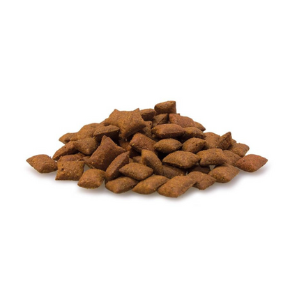 Biscoitos Malt Bits 40g - Arquivet