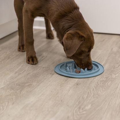 Comedouro Slow Feed para cães e gatos - Trixie