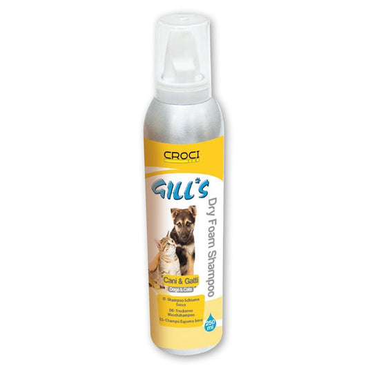 Champô seco Gills 250ml