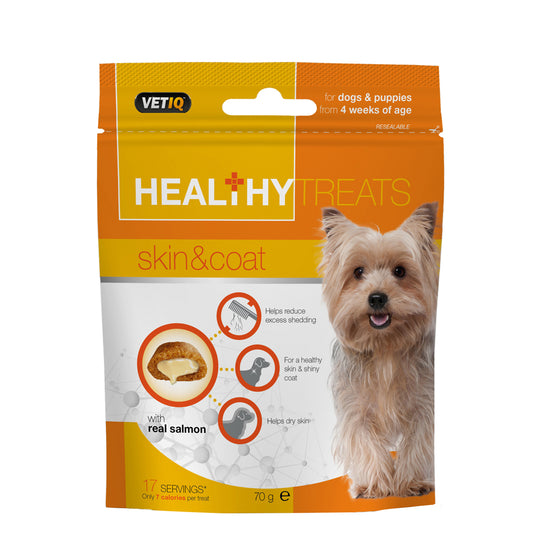 Healthy Treats Skin & Coat 70g