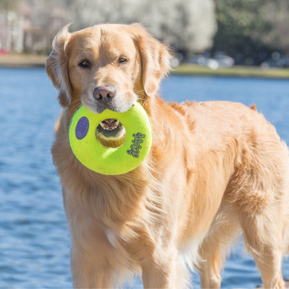 Kong AirDog Squeaker Donut